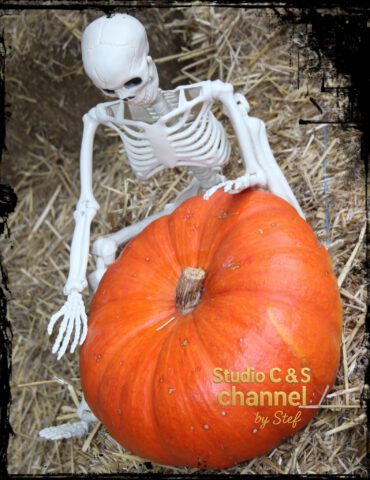 577812731_10162130687055779_4186565811350912708_n