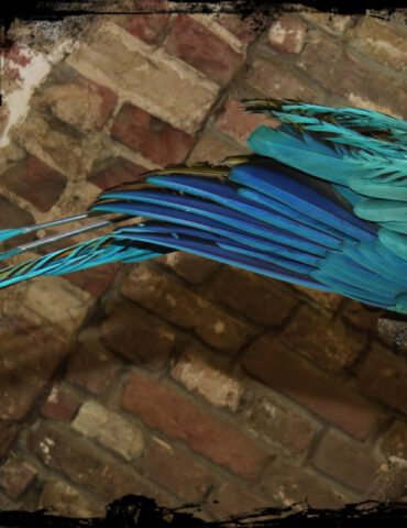 577816373_10162130683520779_2101273265401039880_n