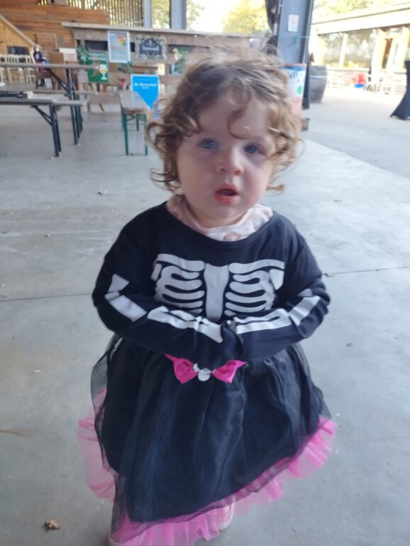 Afbeelding van WhatsApp op 2025-11-01 om 22.31.25_1cebc27b